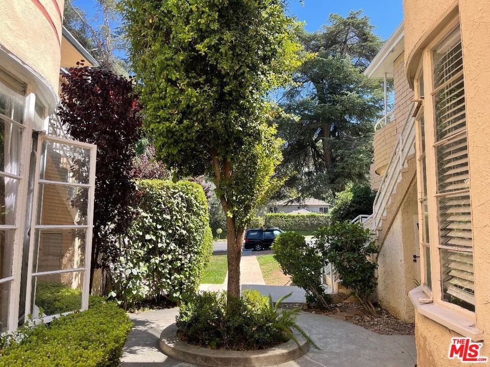 Los Feliz photo 6