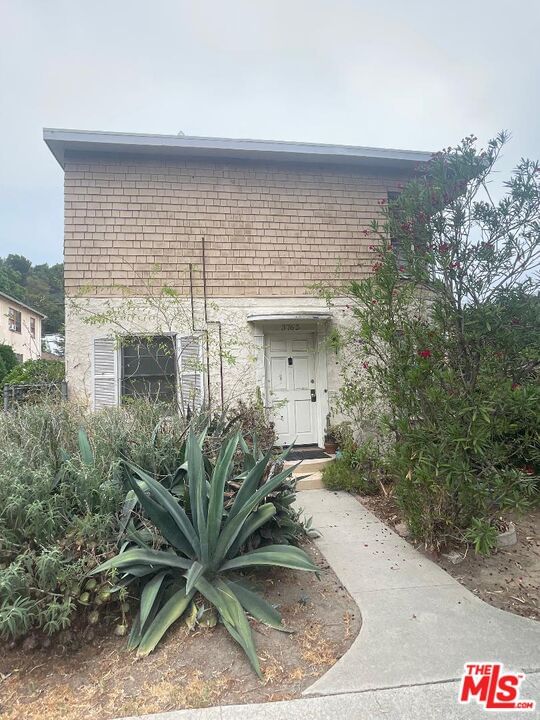 Los Feliz photo 8
