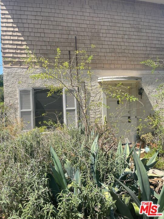 Los Feliz photo 9