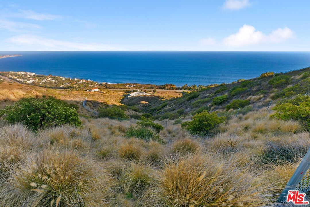 Encinal Canyon photo 14