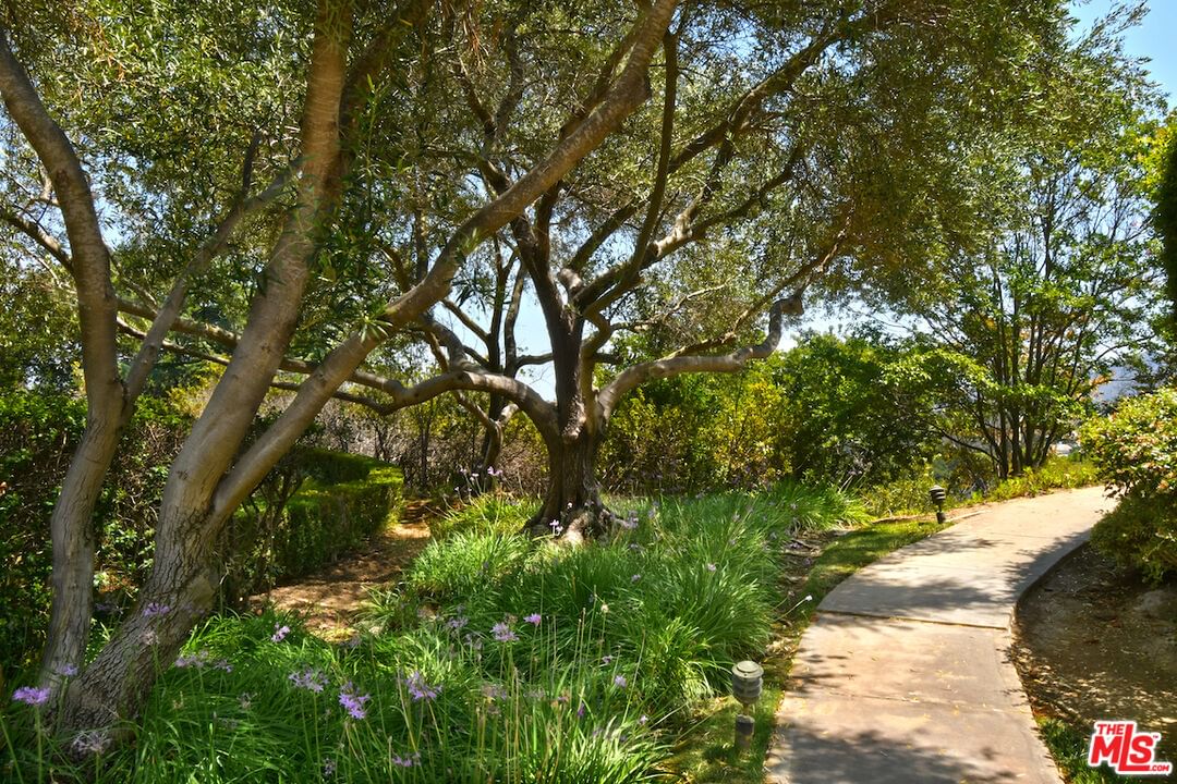Swanfield photo 42