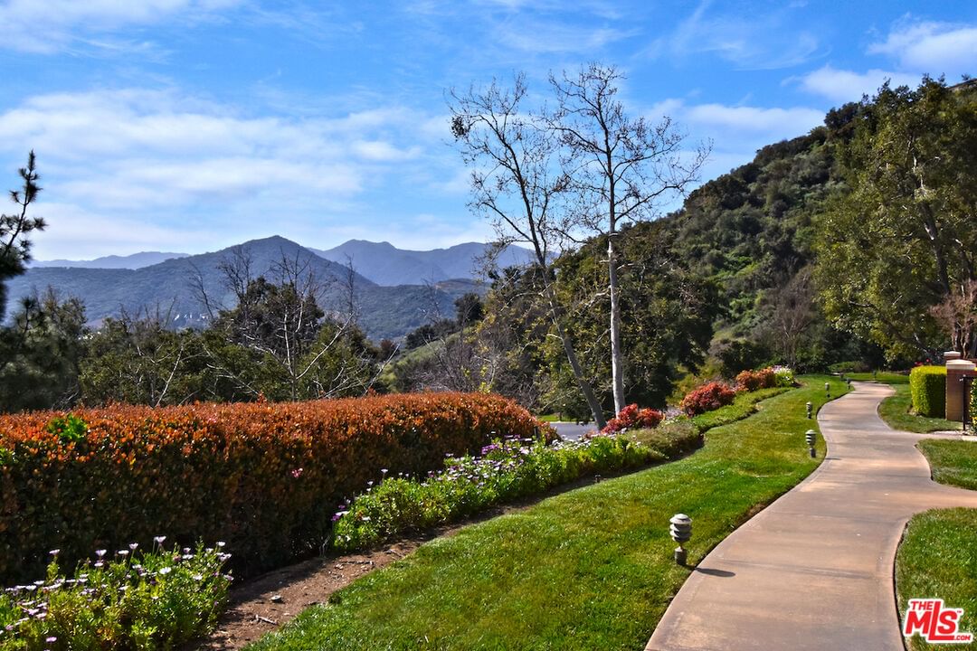 Swanfield photo 44