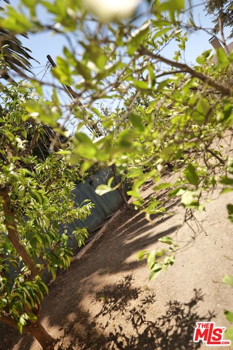 Bel Aire photo 12