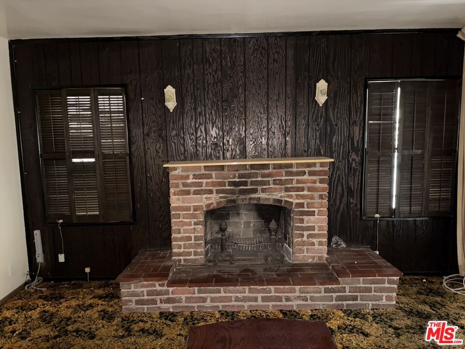 Euclid photo 6