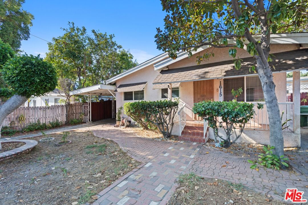 Maple photo 1