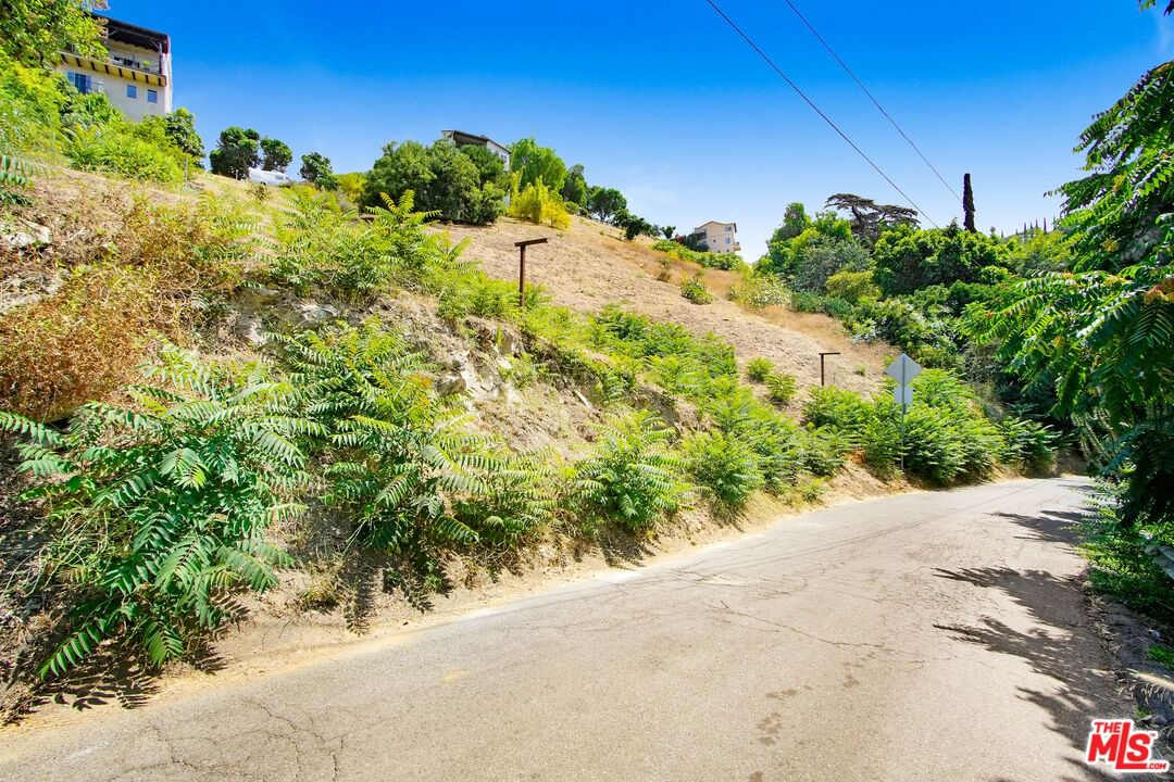 Yorkshire photo 21