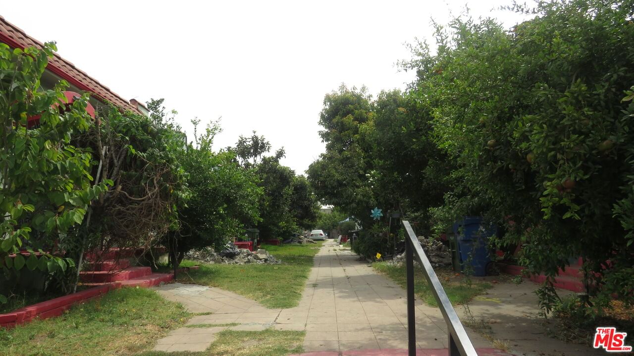 Figueroa photo 18