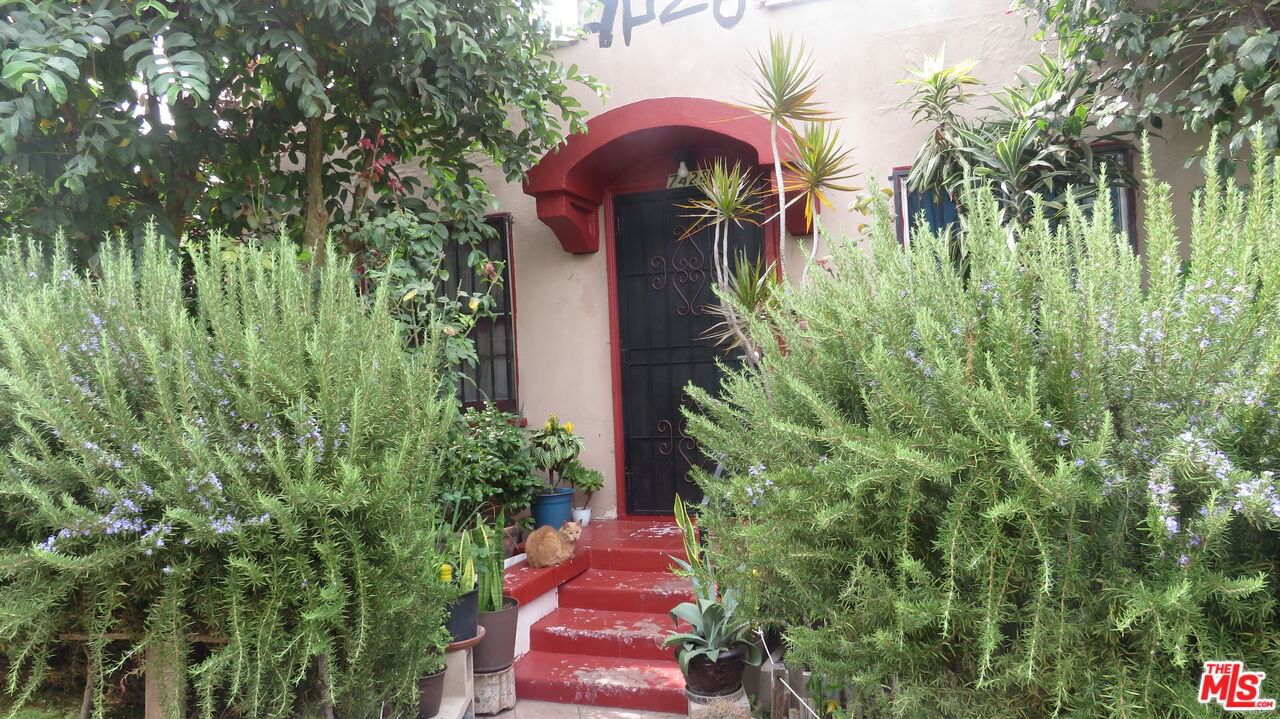 Figueroa photo 6