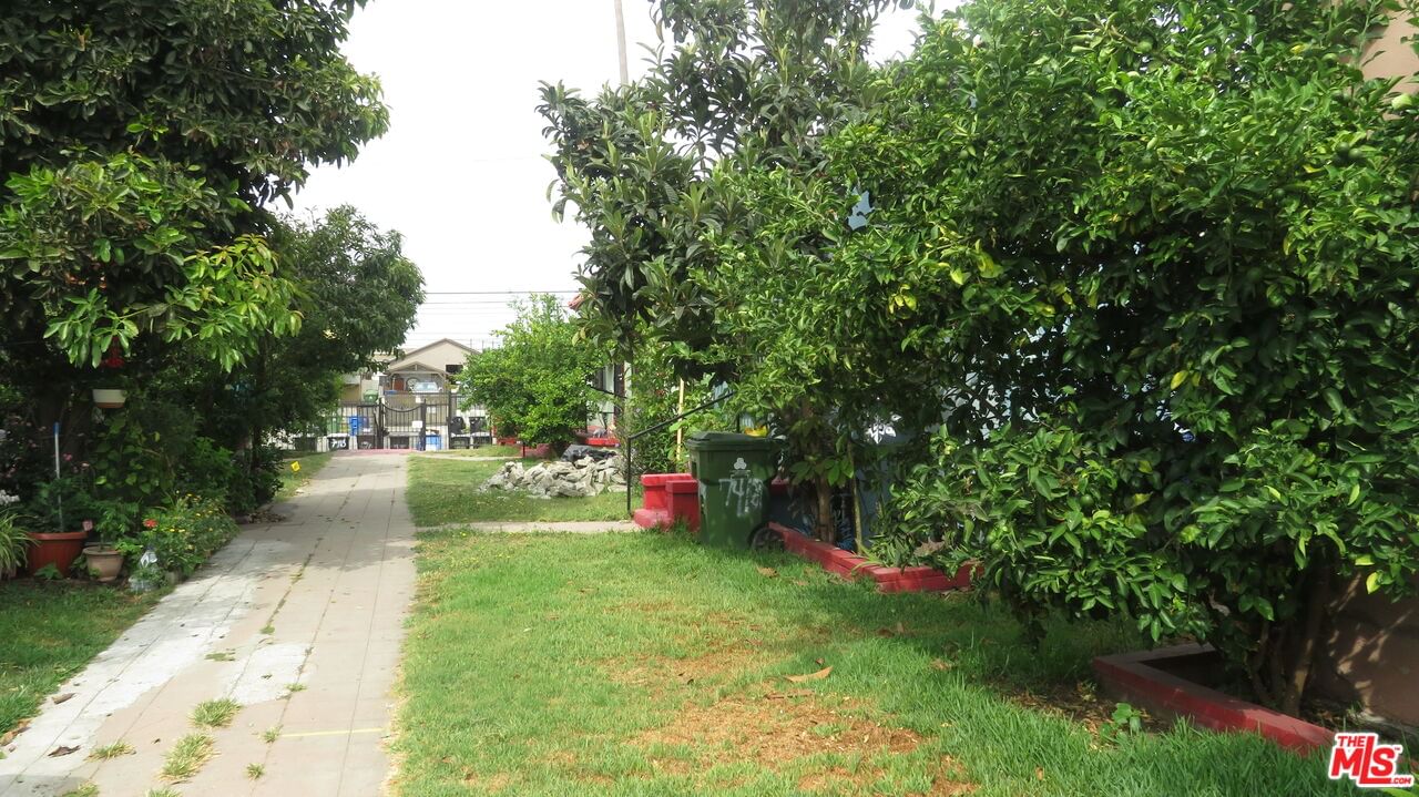 Figueroa photo 8