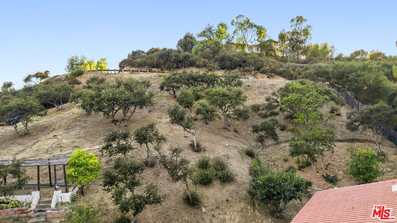 Old Topanga Canyon photo 42