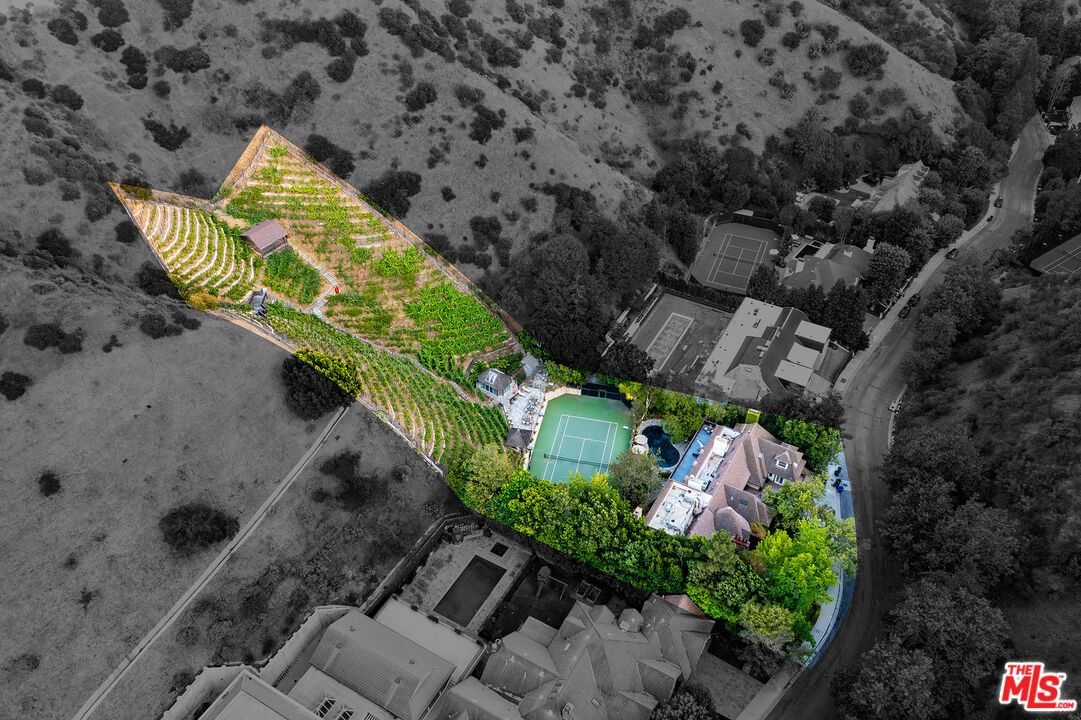 Moraga photo 26