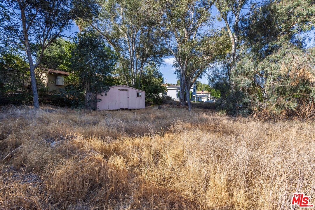 Magic Mountain photo 20
