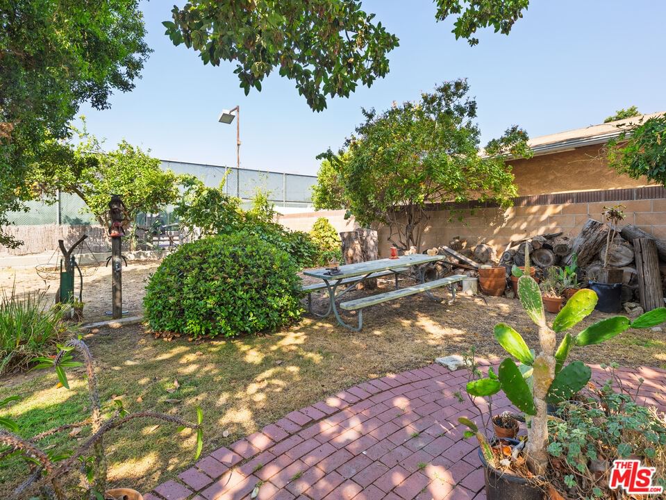 Lomita photo 24