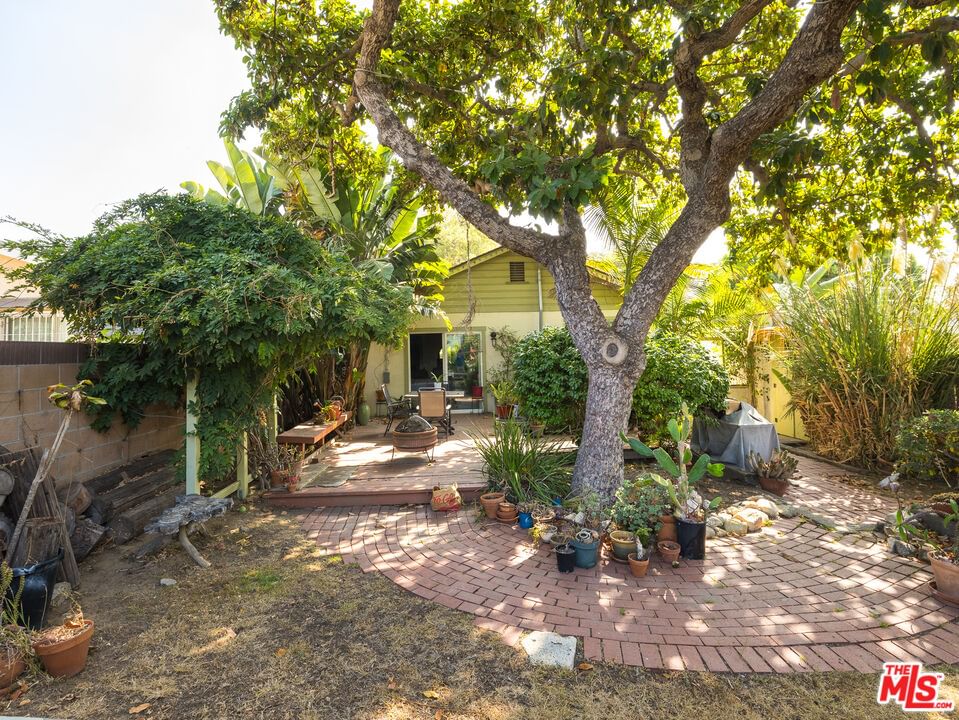Lomita photo 25