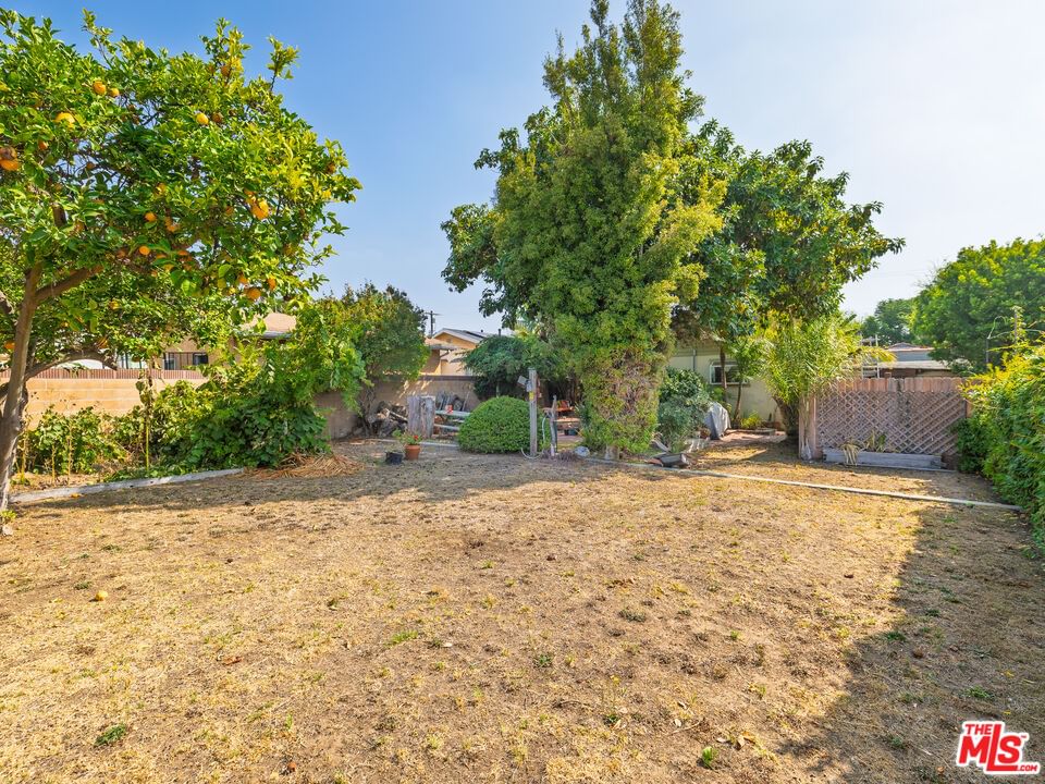 Lomita photo 26