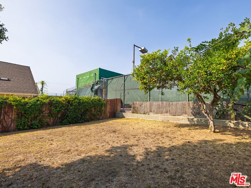 Lomita photo 27