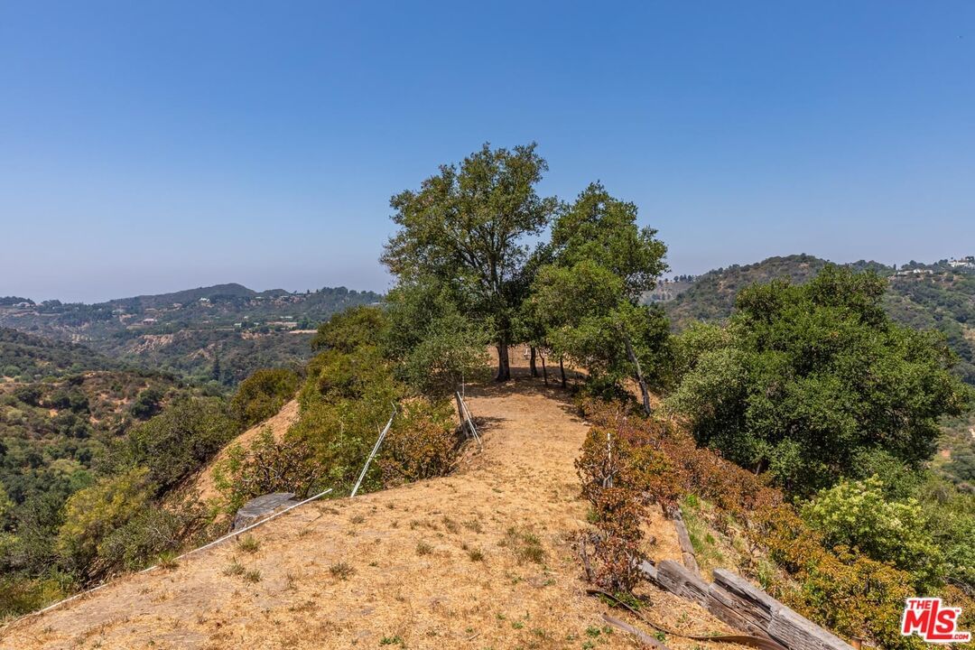 Coldwater Canyon photo 20