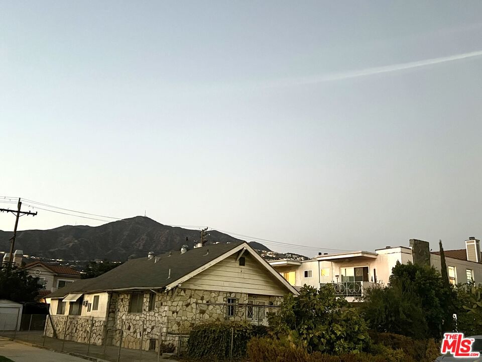Palm photo 1