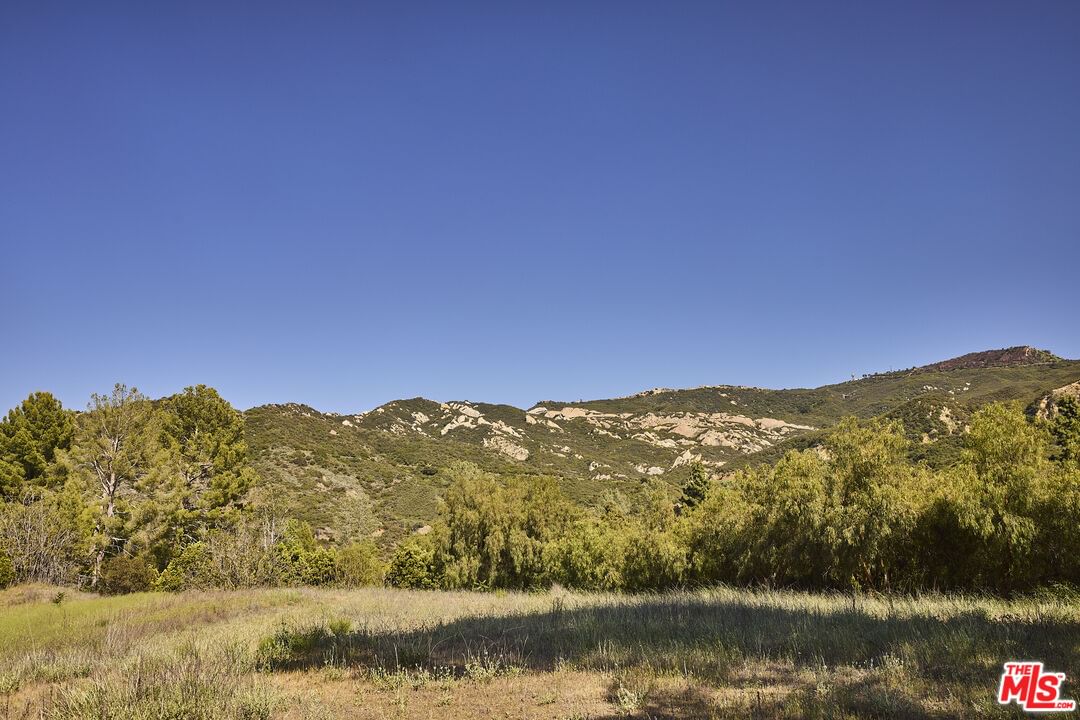 Cold Canyon photo 34