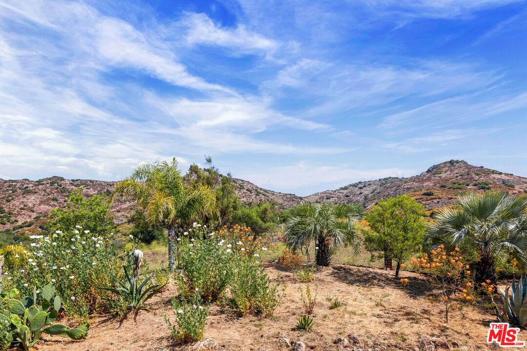 Lobo Canyon photo 53