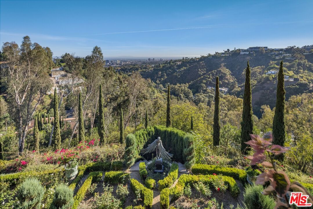 Bel Air photo 10