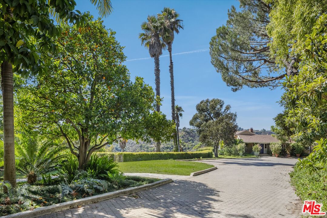 Bel Air photo 16