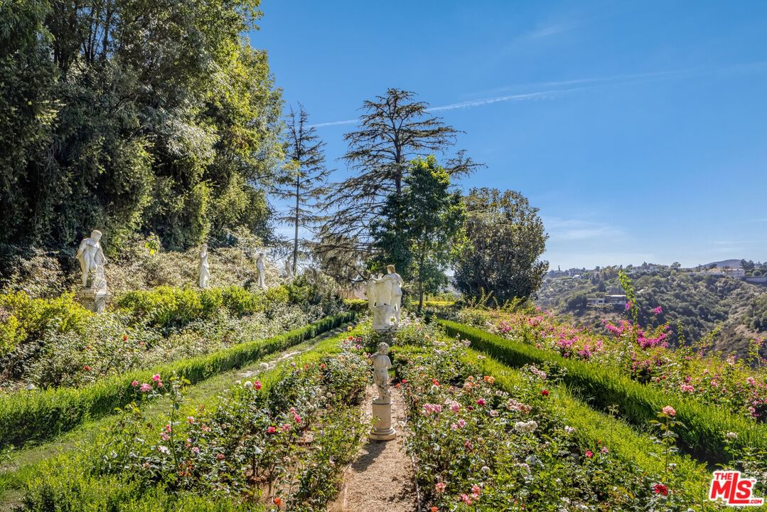 Bel Air photo 20