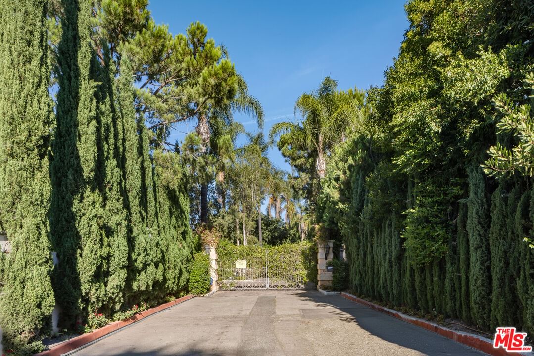 Bel Air photo 24