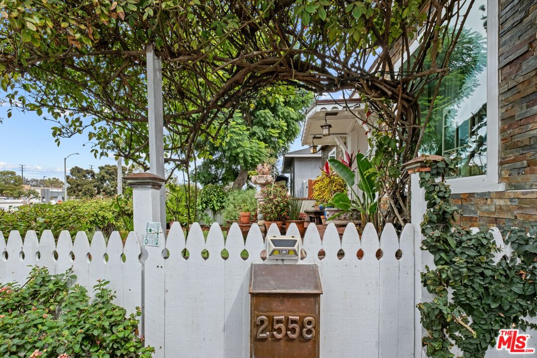 Torrance photo 5