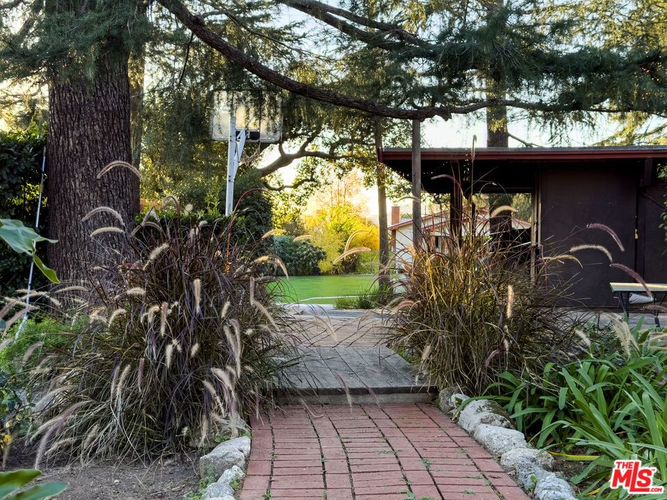 Mar Vista photo 9