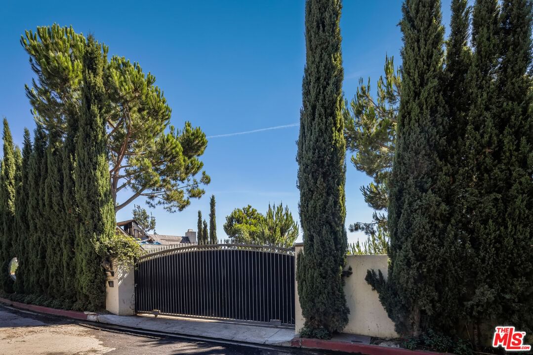 Bel Air photo 4