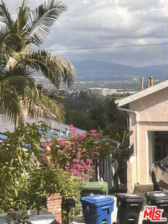Venido photo 24
