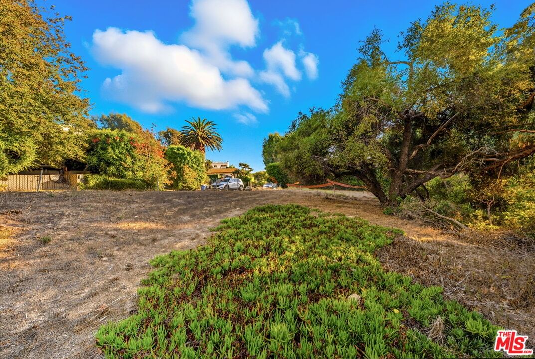 Sea Level photo 18