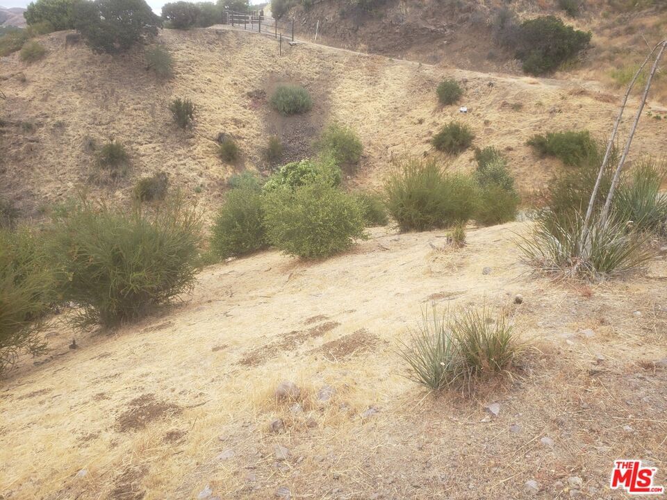 Canyon photo 10