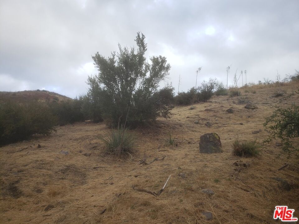 Canyon photo 11