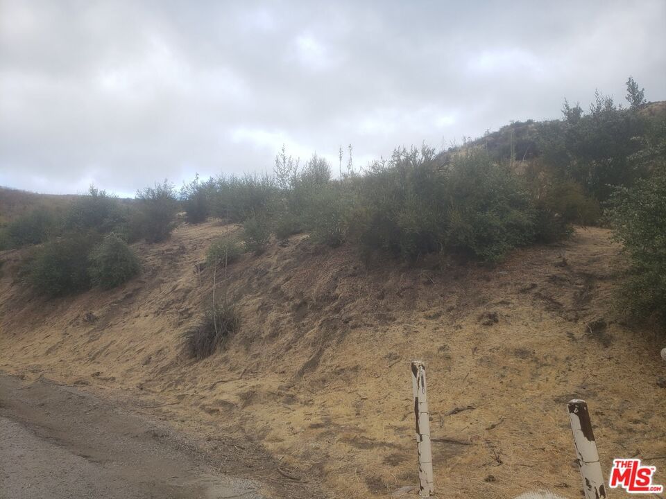 Canyon photo 12