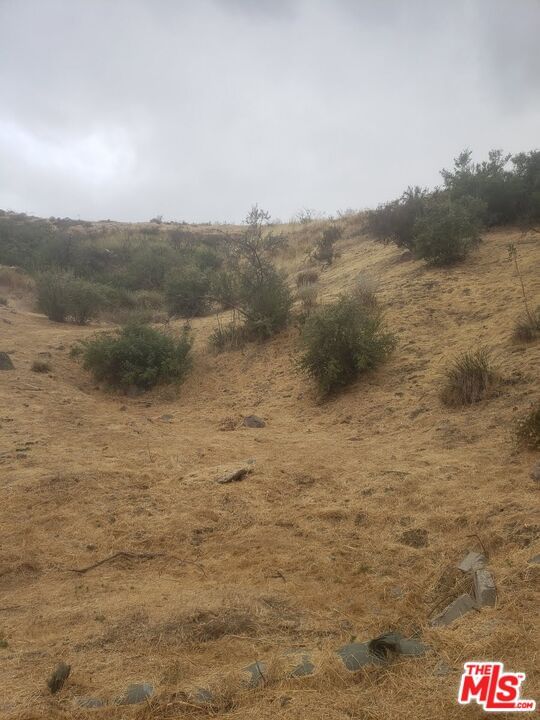 Canyon photo 13