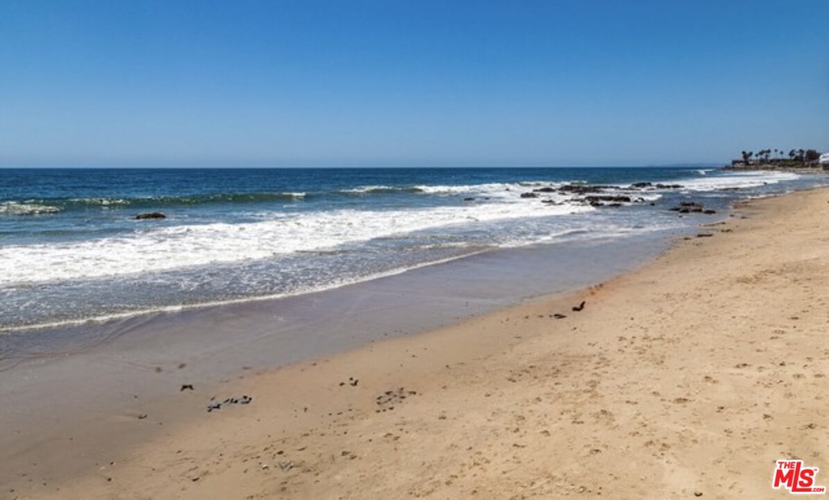 Pacific Coast photo 2