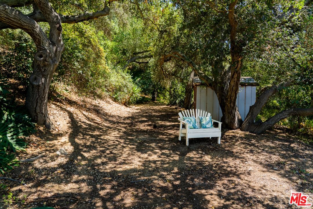 Colina photo 30
