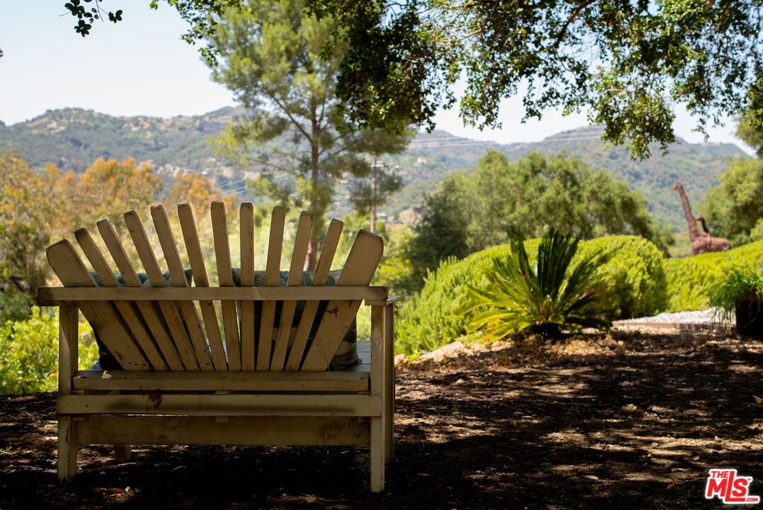 Colina photo 31
