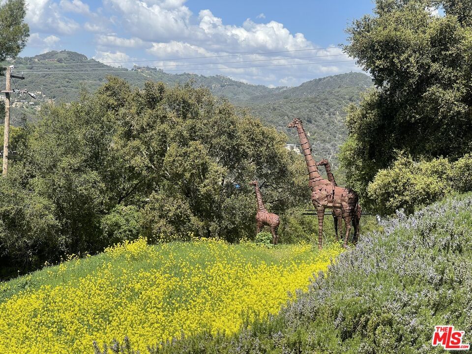 Colina photo 32