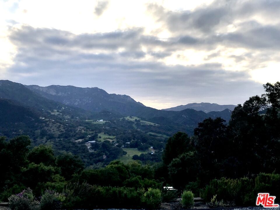 Colina photo 36