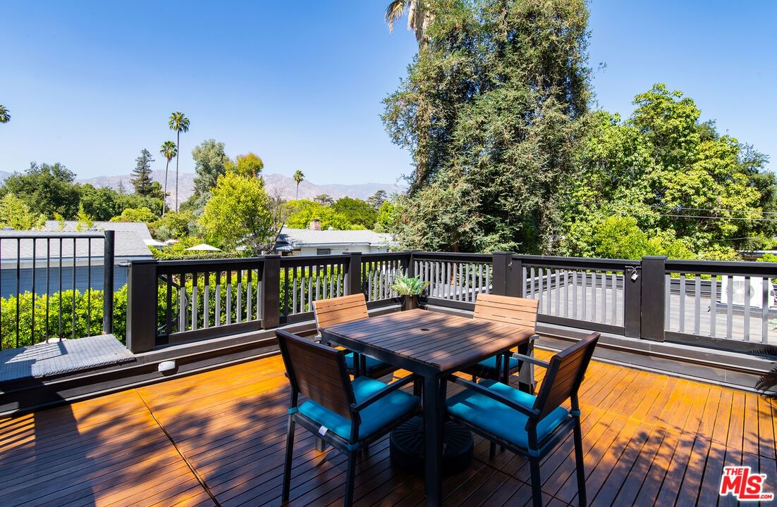 Palm photo 43
