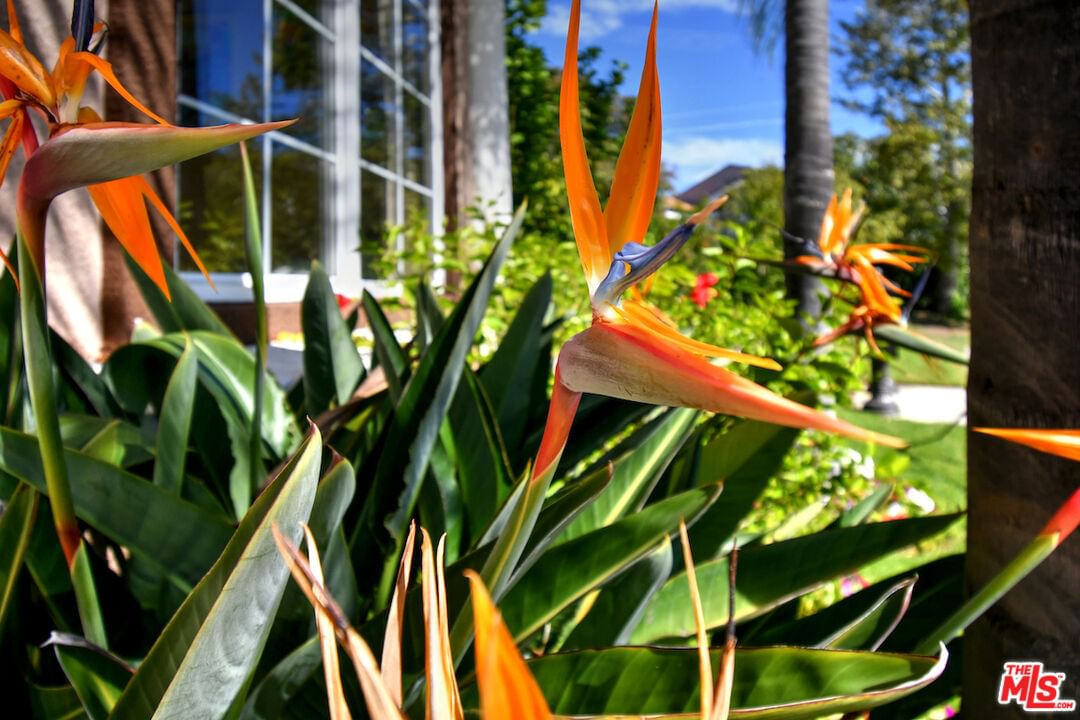 El Encanto photo 10