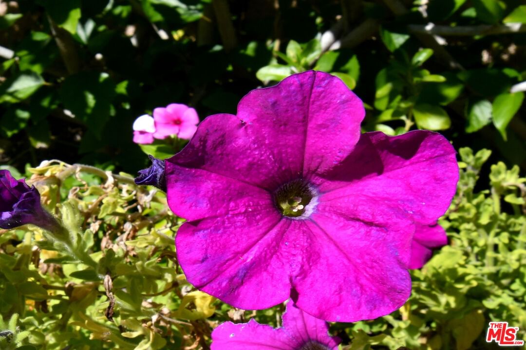 El Encanto photo 62