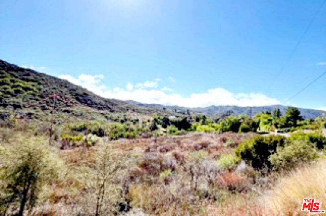 Mulholland photo 7