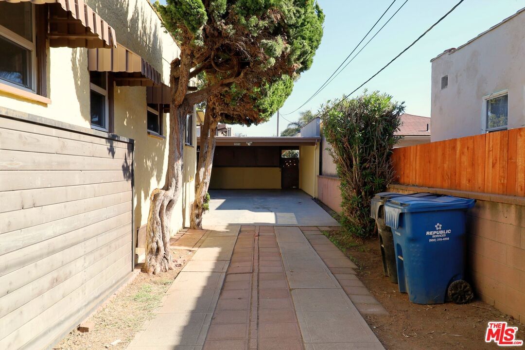 Fir photo 12
