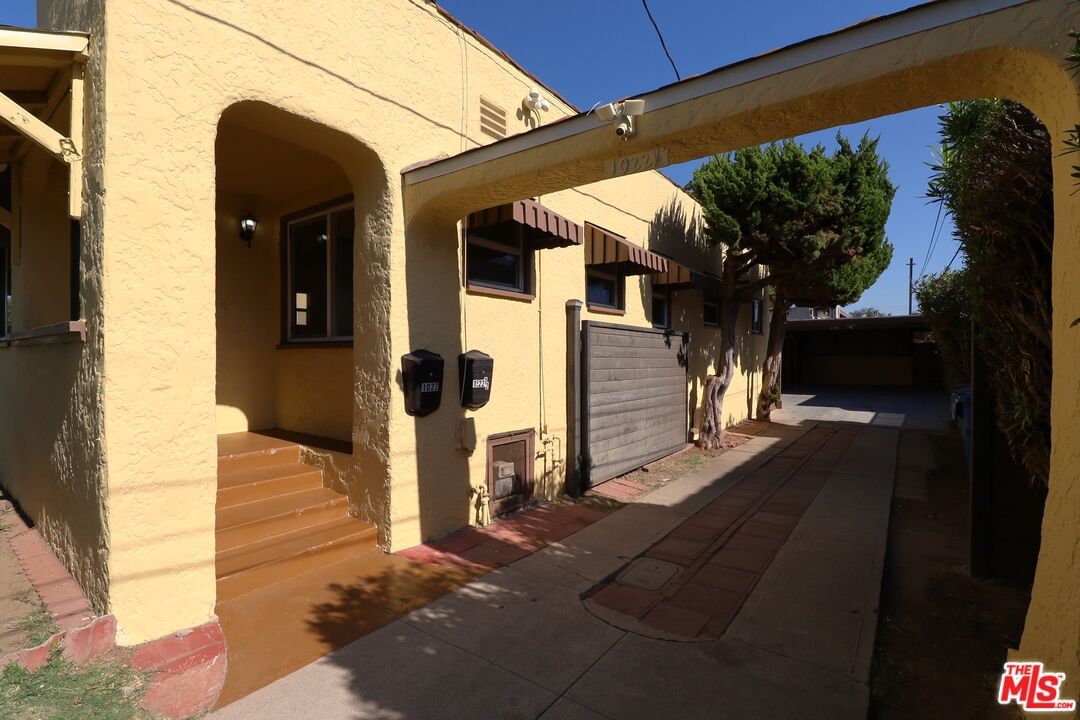 Fir photo 14