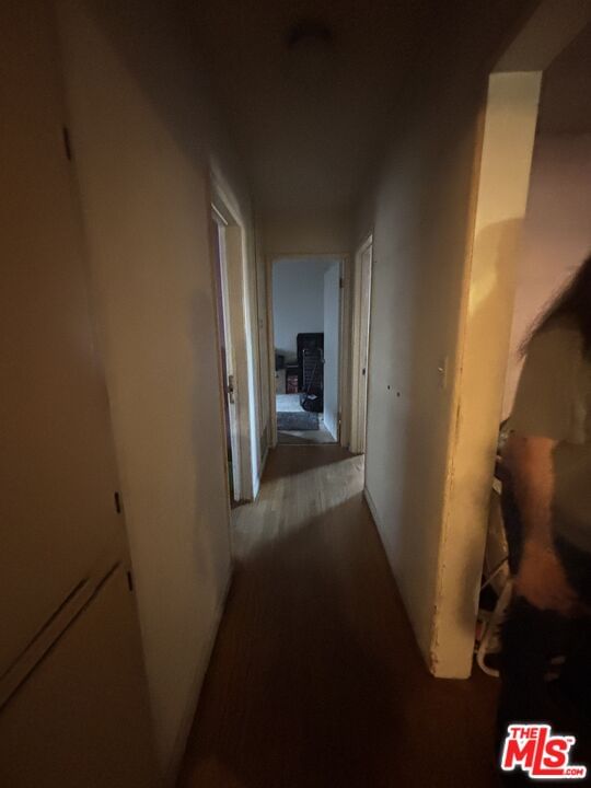 Lyman photo 23