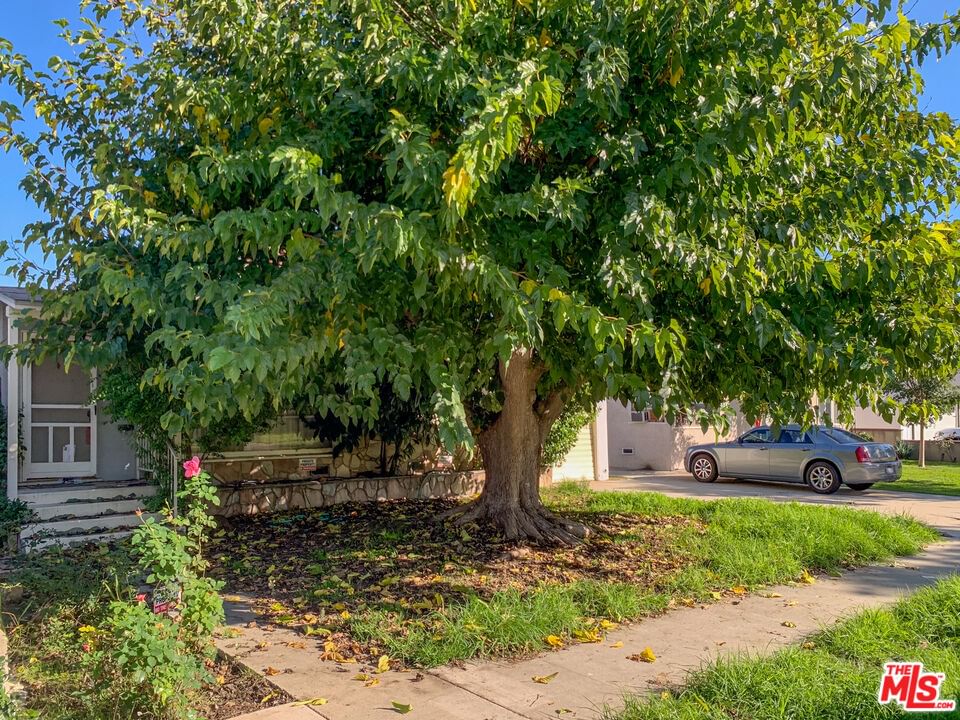 Glenwood photo 48